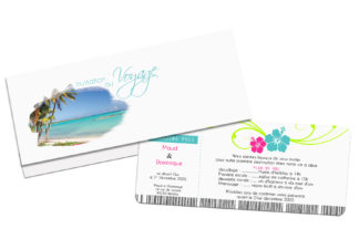 Faire-part billet d'avion ref 382